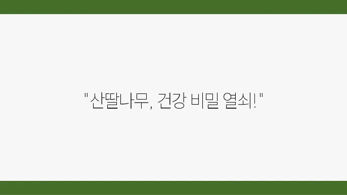 산딸나무 열매를 먹는 방법 소개하는 이미지