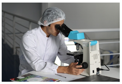 이름 없는 생명에게 이름을 주는 사람들 – 생물분류학자란?