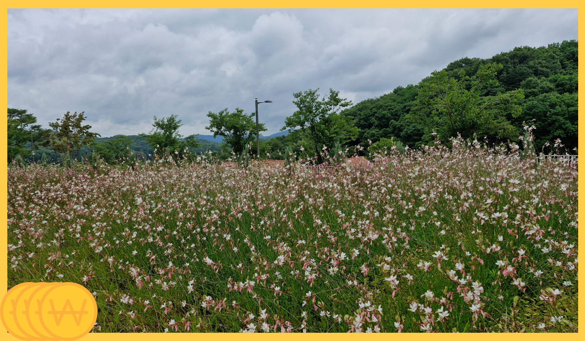 국립자연휴양림 예약방법
