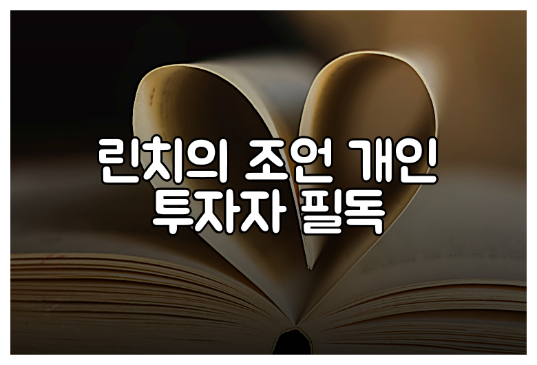 린치의 조언 개인 투자자 필독