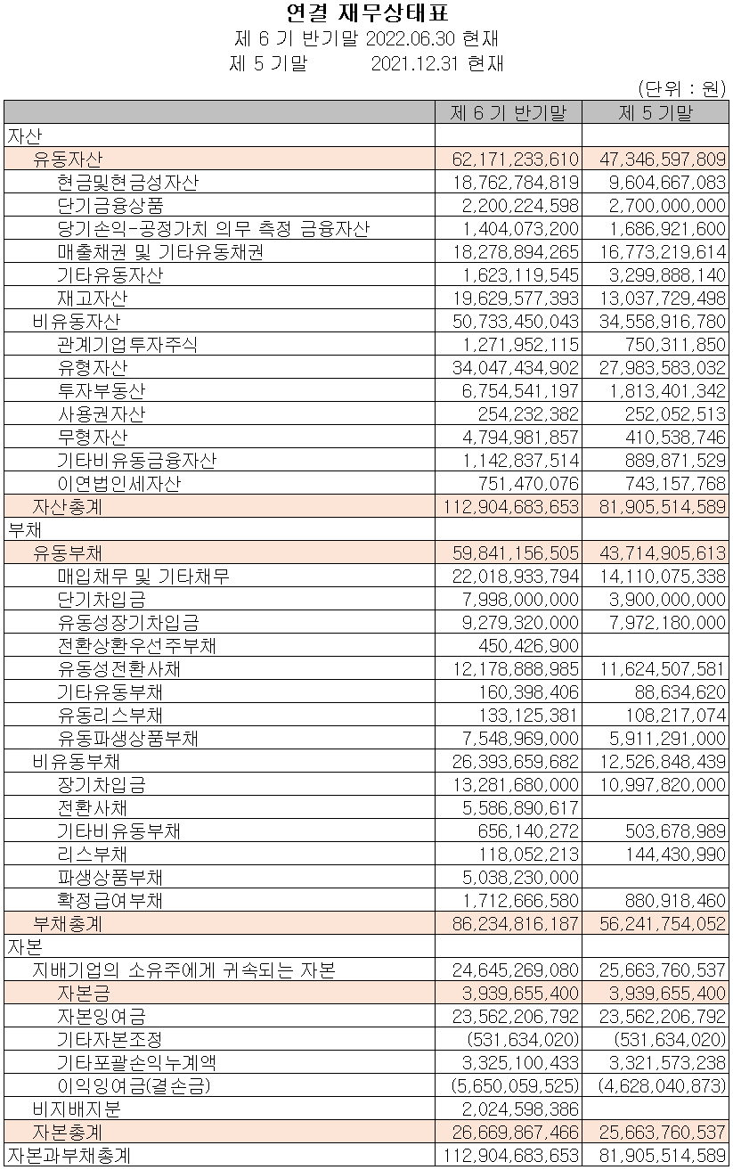 나인테크 - 재무상태표