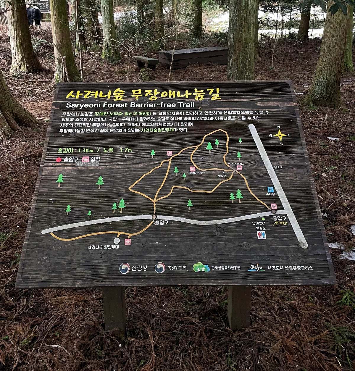비오는날-제주-겨울에-가볼만한곳-사려니숲-무장애나눔길-위치-산책로-소요시간