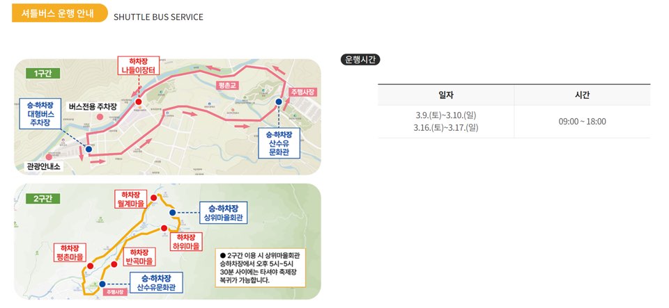 봄꽃축제하는곳