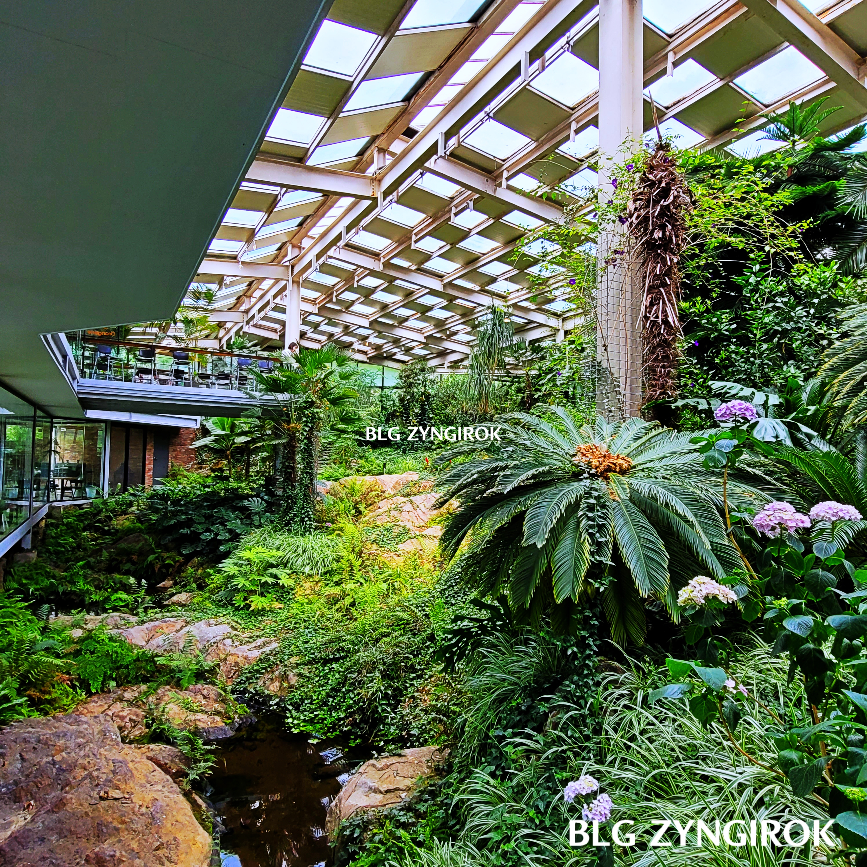 양주-오랑주리-카페-내부-숲이다.