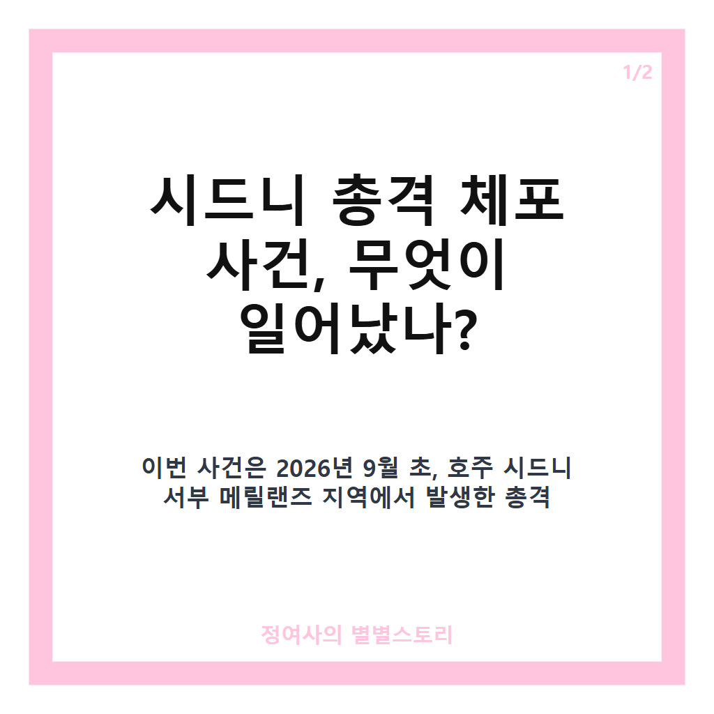 시드니 총격 체포, 한국계 20대 남성 연루 및 수사 현황 정리 카드뉴스 1