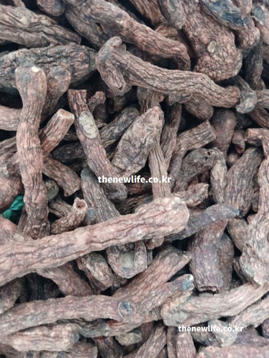 둥굴레 효능을 높이는 둥굴레의 제철 채취 시기와 다양한 요리 활용법을 보여주는 실사진