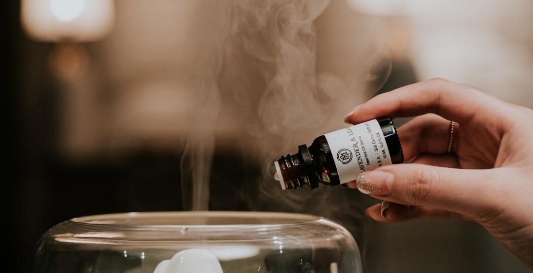 천연 탈취제과 상업 제품 효과 분석 관련 사진