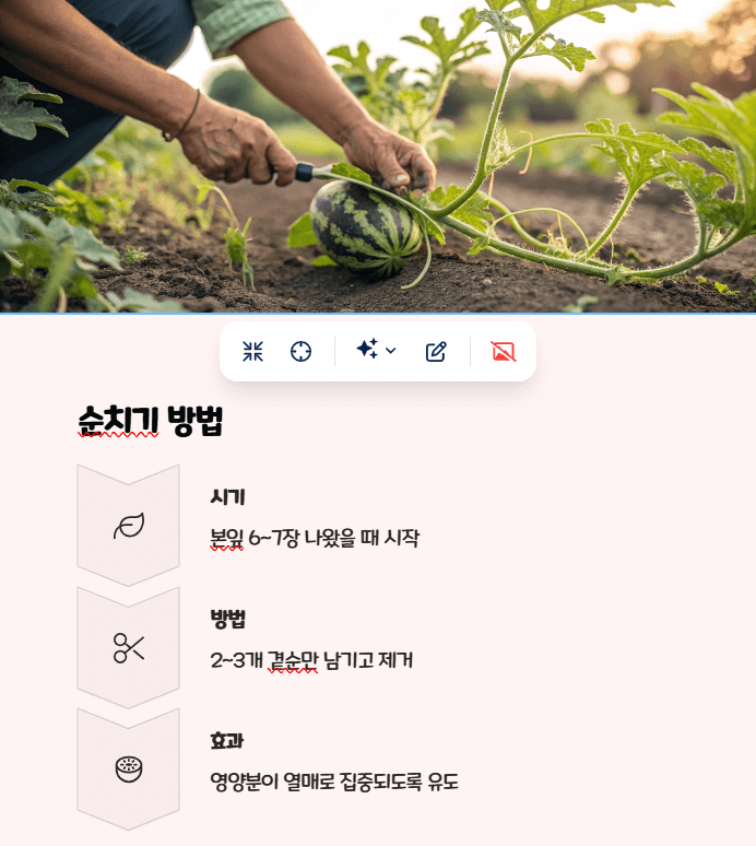 애플수박