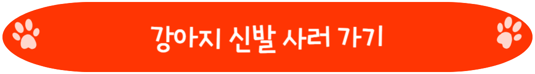 강아지 신발