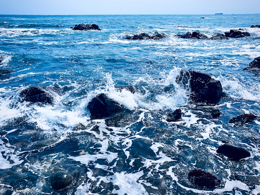 울산 코스트코 할인 정보: 스마트하게 쇼핑하는 법 관련 이미지 2