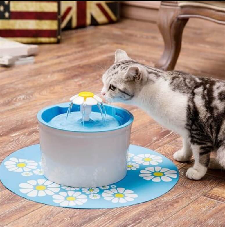 고양이 정수기