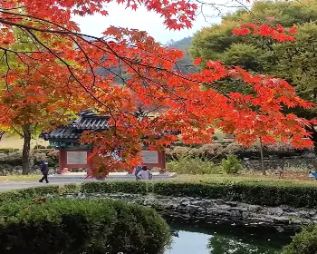 배론성지_11