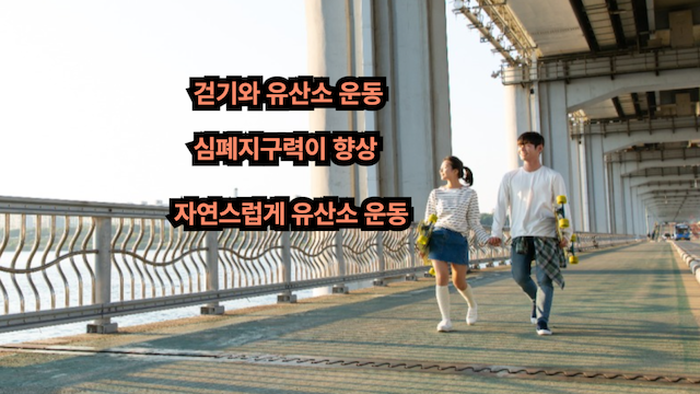 유산소-운동
