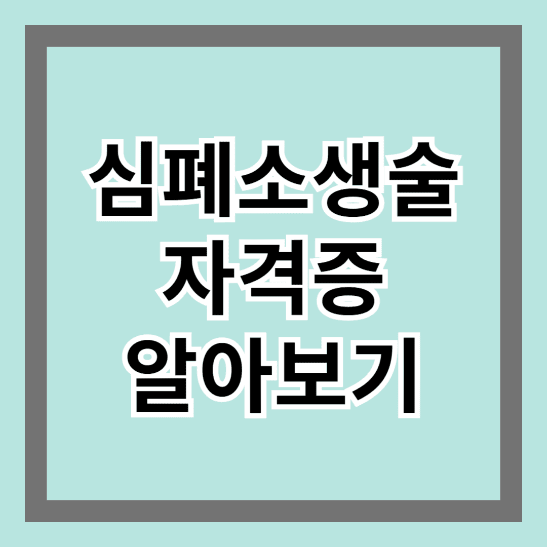심폐소생술자격증 알아보기