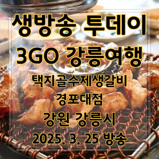 생방송 투데이 3GO
