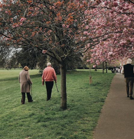 노인일자리 신청자격 비용 등 총정리