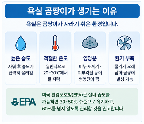 욕실 곰팡이가 생기는 이유