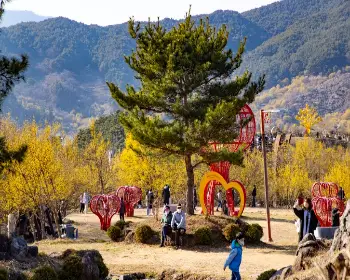 구례 산수유축제_16