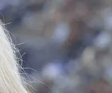 비문증 치료방법