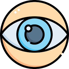 눈꺼풀 떨림 현상