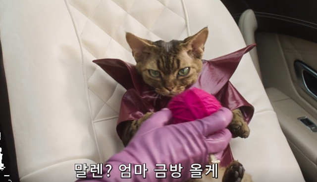 영화 개비의 매직하우스 극장판 쿠키영상 줄거리 관람후기- 꿀잼