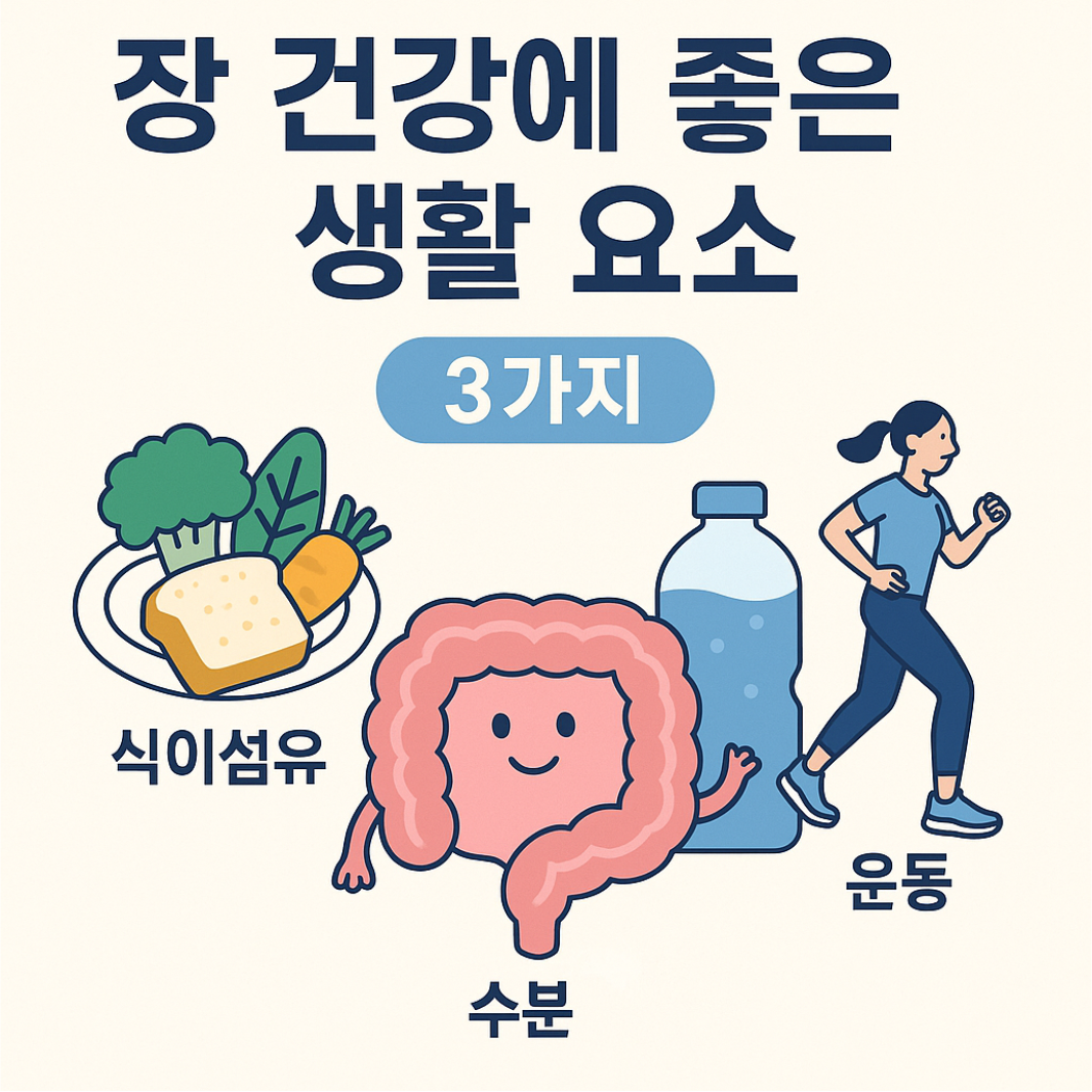 장 건강에 좋은 생활요소 3가지