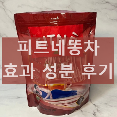 피트네똥차