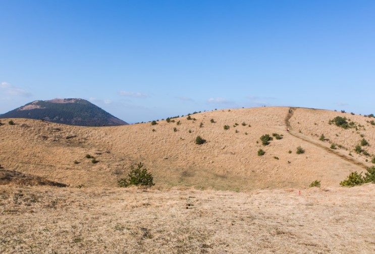 제주도의 숨은 명소 탐방: 자연 속의 비밀