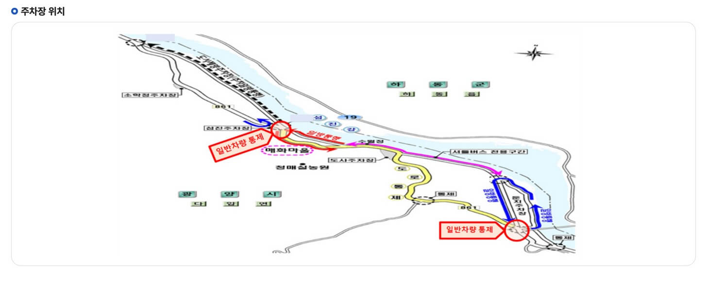 광양매화축제 주차장 정보