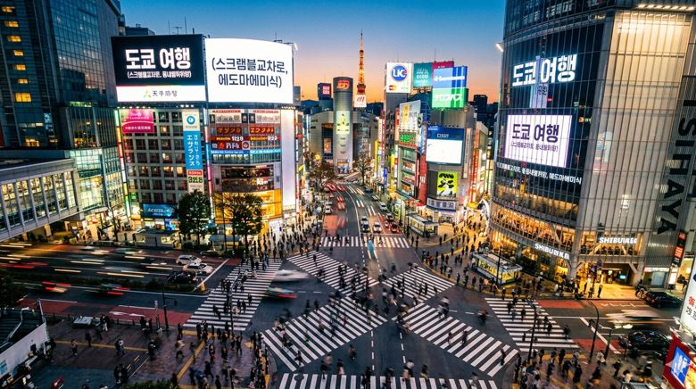 도쿄 여행 (스크램블교차로, 동네별취향, 에도마에미식)