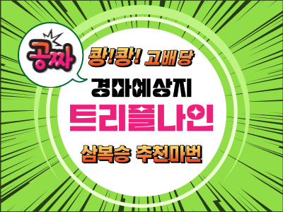 트리플나인 금요경마 무료예상지 경마예상지