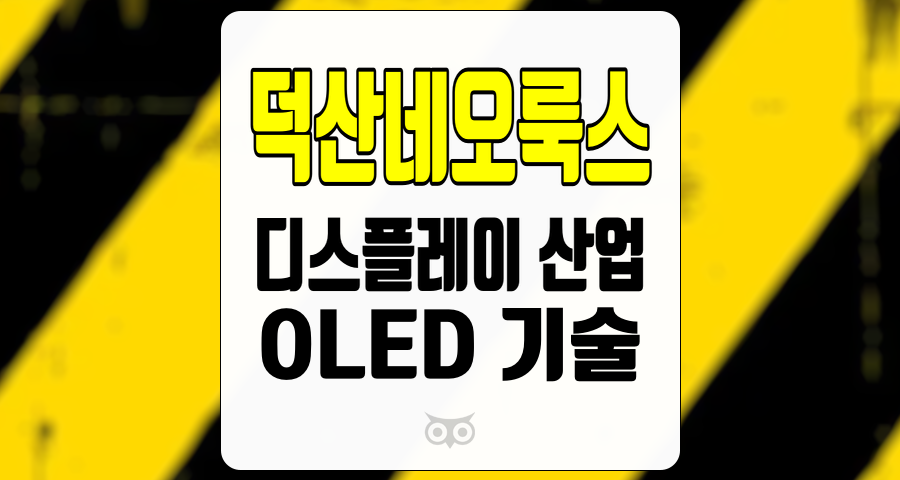 덕산네오룩스, 디스플레이 산업의 도전과 기회