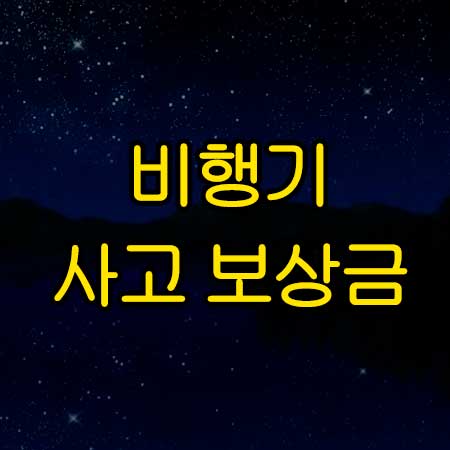 비행기 사고 보상금