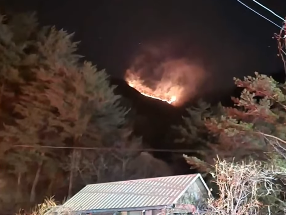 산불현장