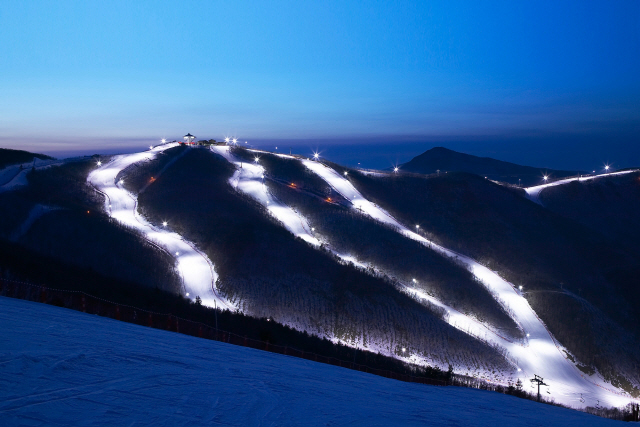 하이원 리조트 스키장