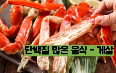 단백질 많은 음식