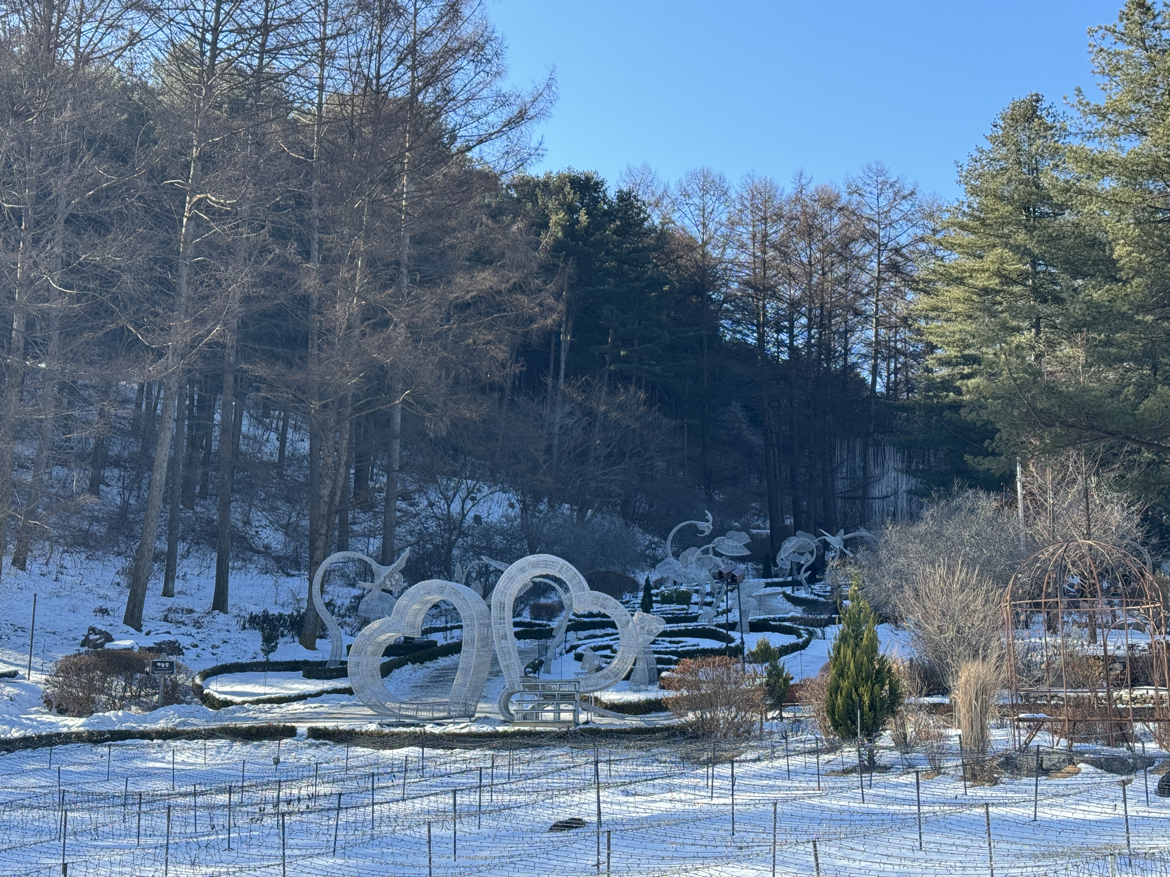 아침고요수목원