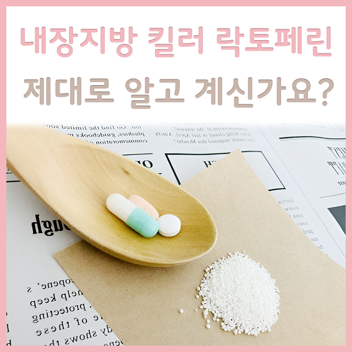 락토페린-분말