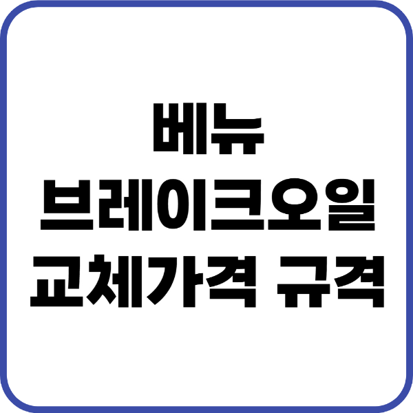 베뉴 브레이크오일