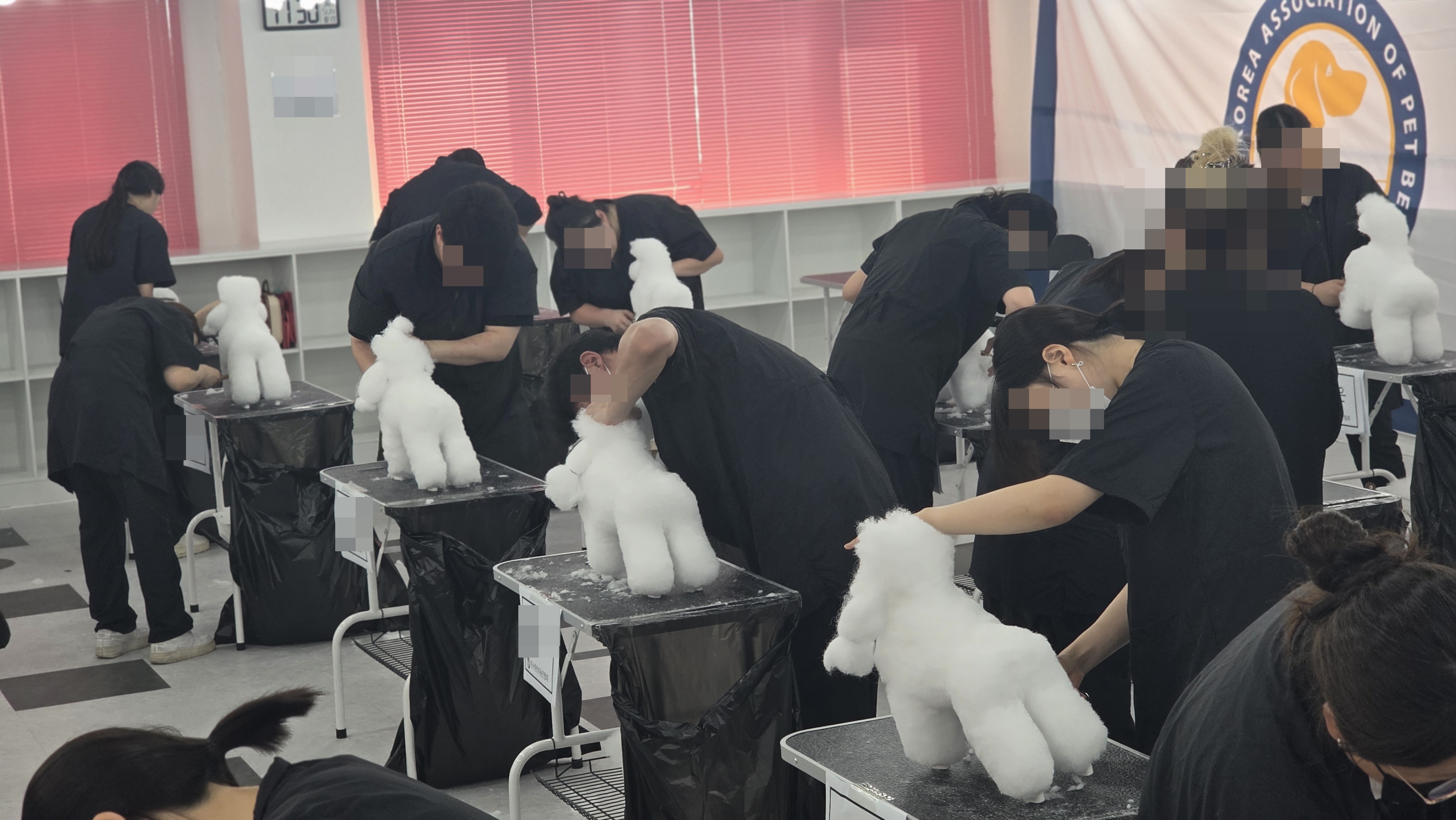 애견미용사자격증비용