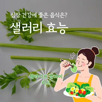 샐러리 효능 알고 먹는법 잎 생으로 손질법 요리_9