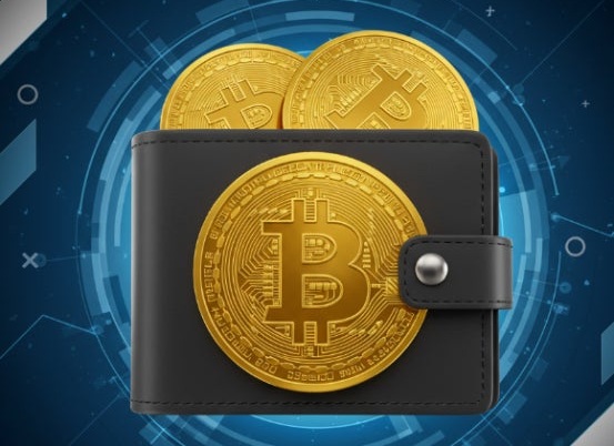 비트코인 보관방법
