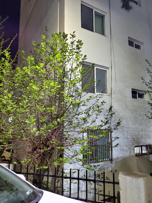 날씨가-풀리니-밖으로-나가게-된다