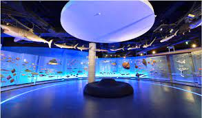 국립해양생물자원관