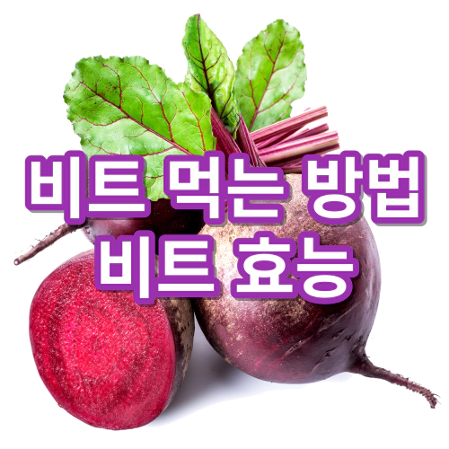 비트-먹는-방법-비트-효능-건강