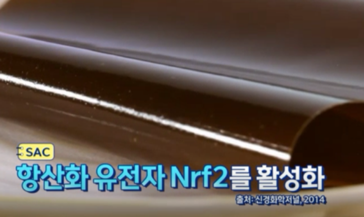 흑마늘 SAC 효능