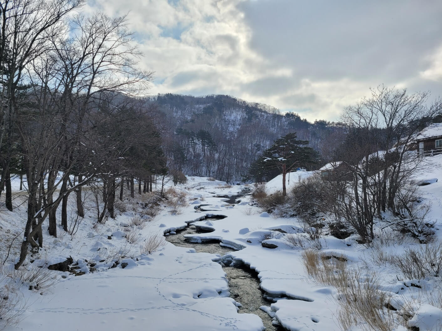 입구전경