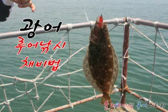 메탈지그 운용 삼치 회유 타이밍 포인트와 릴링 속도 조절_4