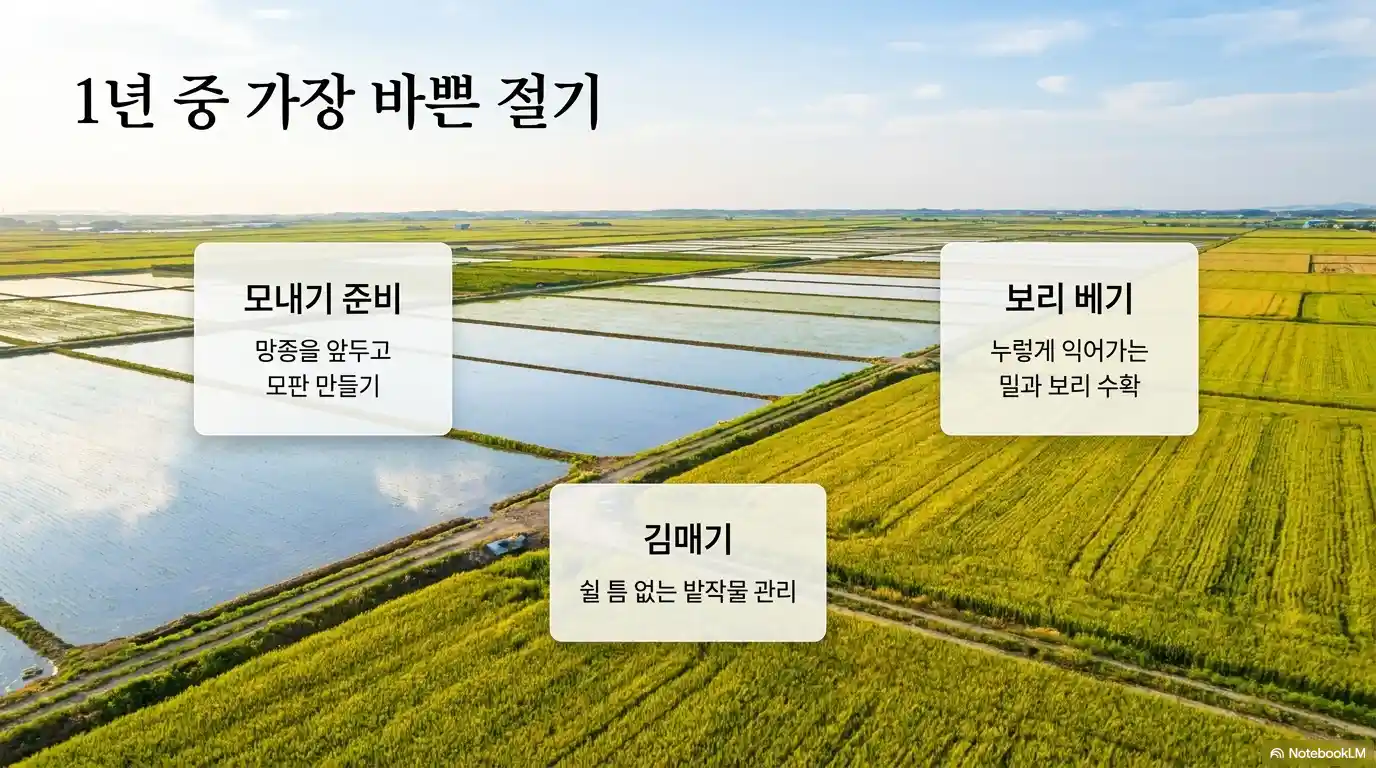 소만 1년 중 가장 바쁜 절기