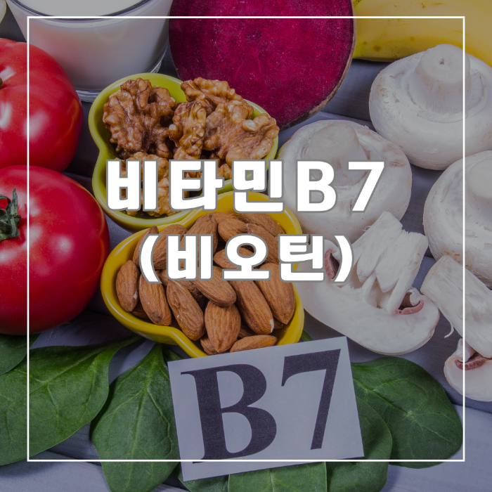 비타민B7